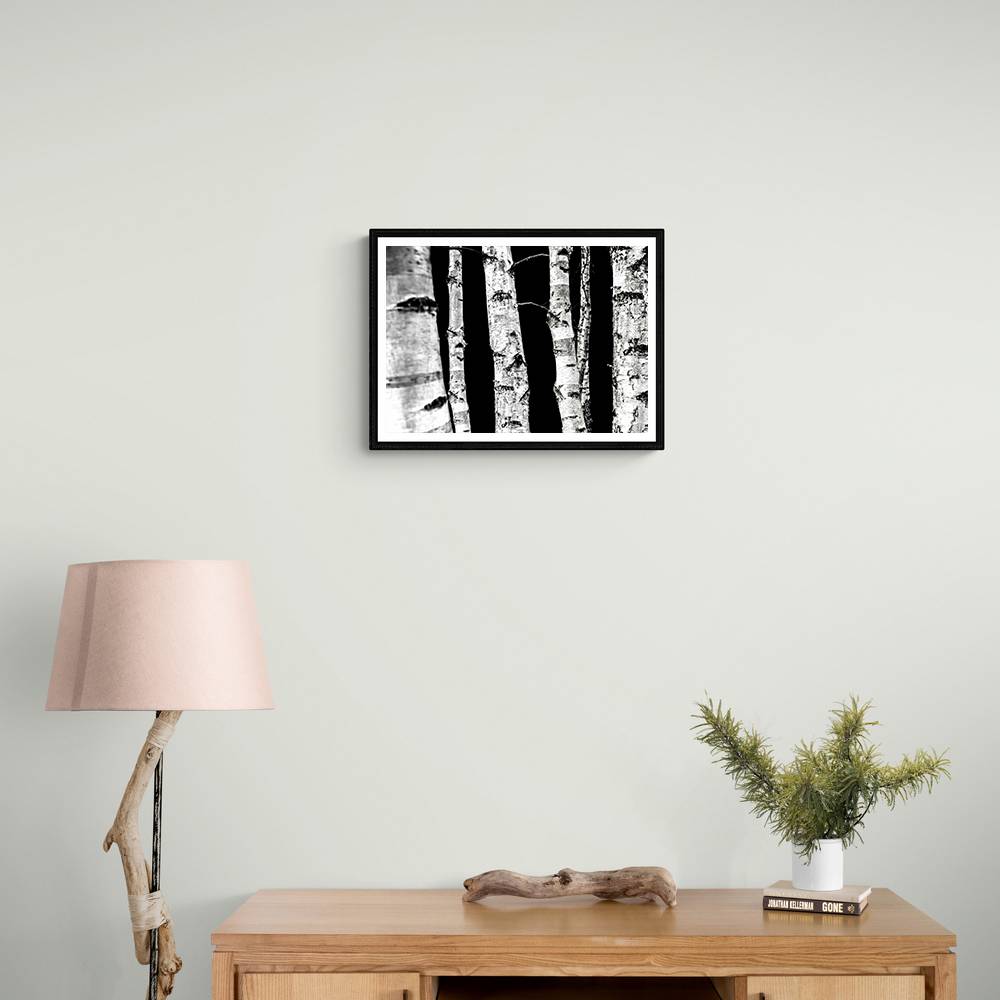 Birch Trees Wall Art