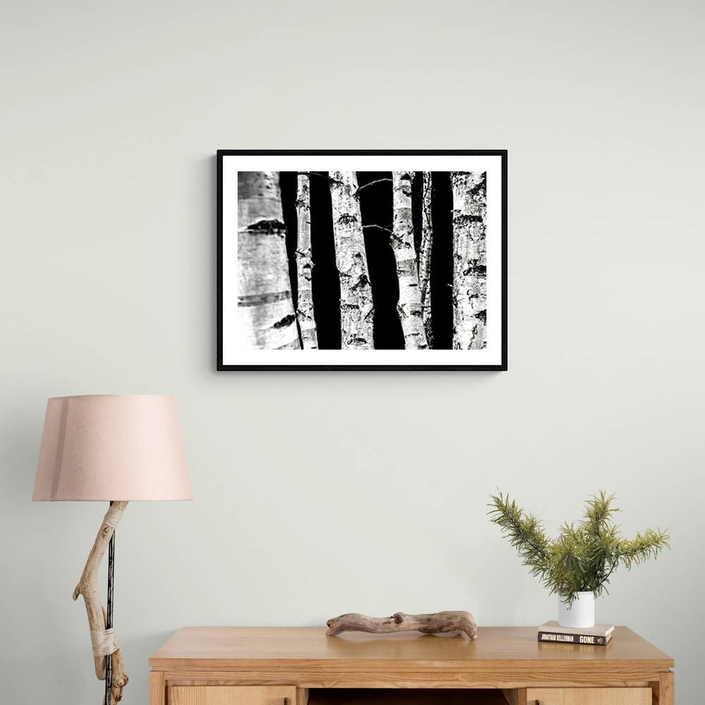 Birch Trees Wall Art