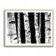 Birch Trees Wall Art