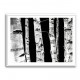 Birch Trees Wall Art