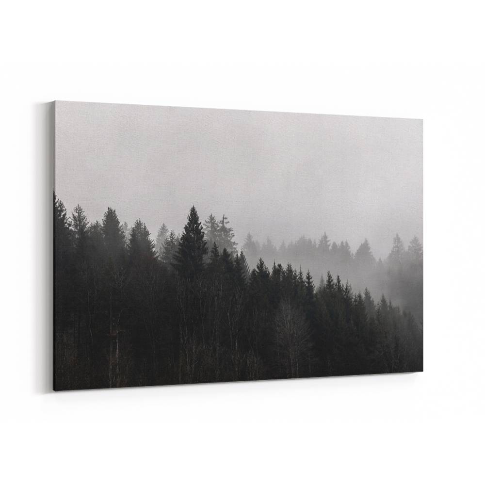 Foggy Woods 7 Wall Art