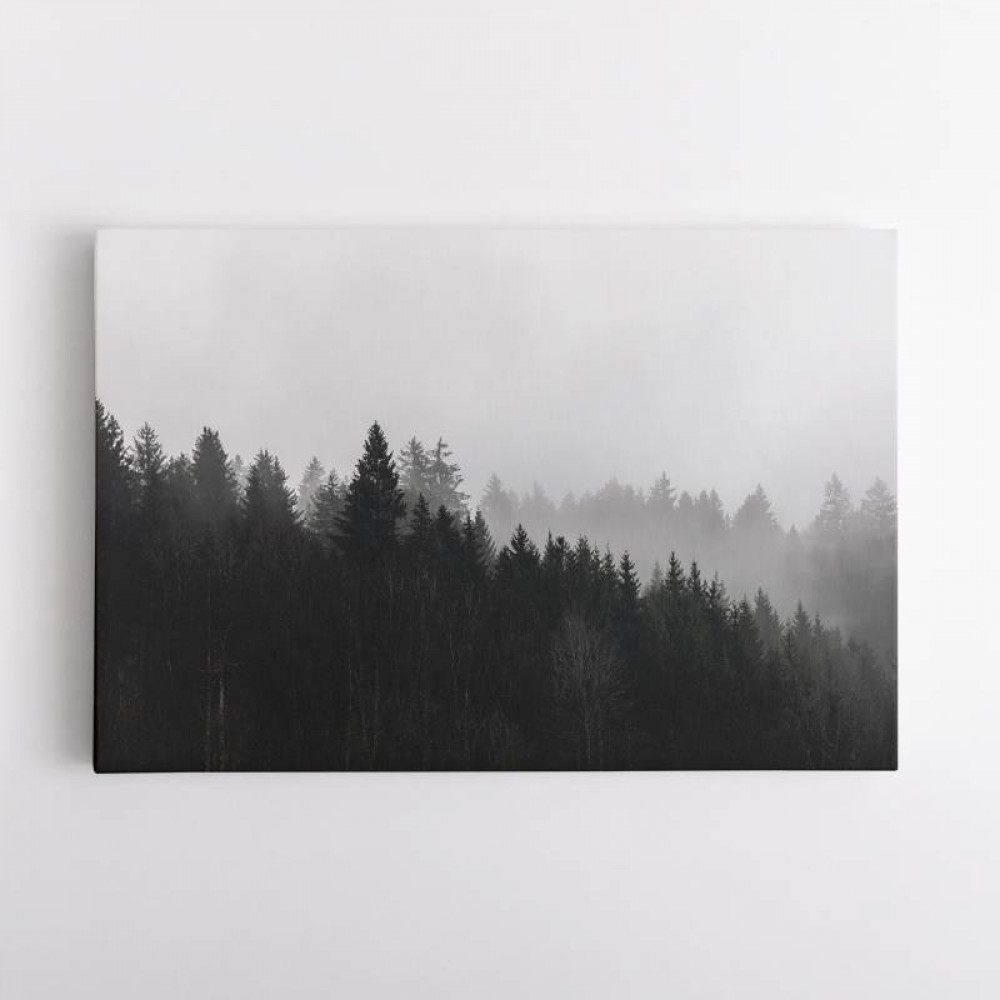 Foggy Woods 7 Wall Art