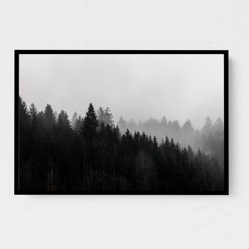 Foggy Woods 7 Wall Art