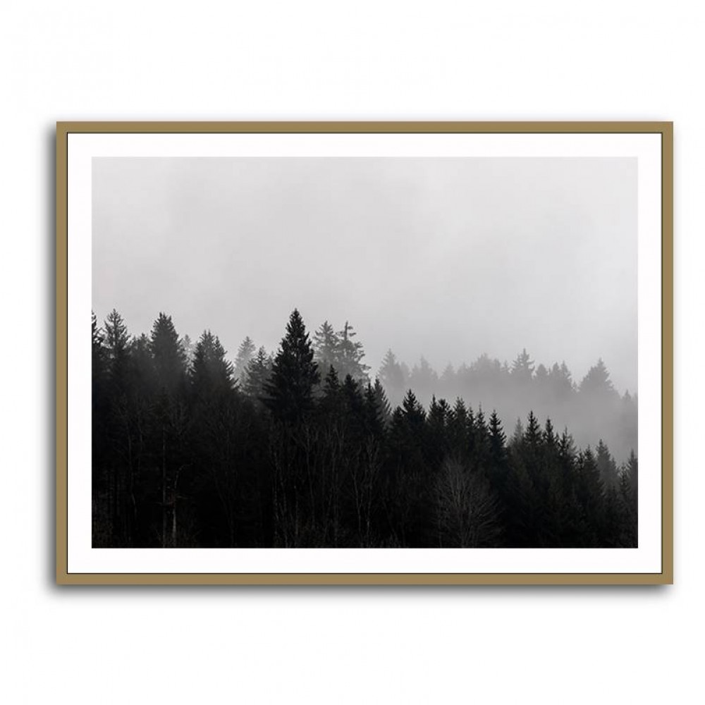 Foggy Woods 7 Wall Art