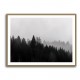 Foggy Woods 7 Wall Art