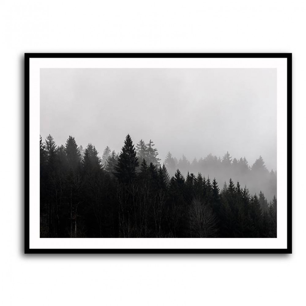 Foggy Woods 7 Wall Art