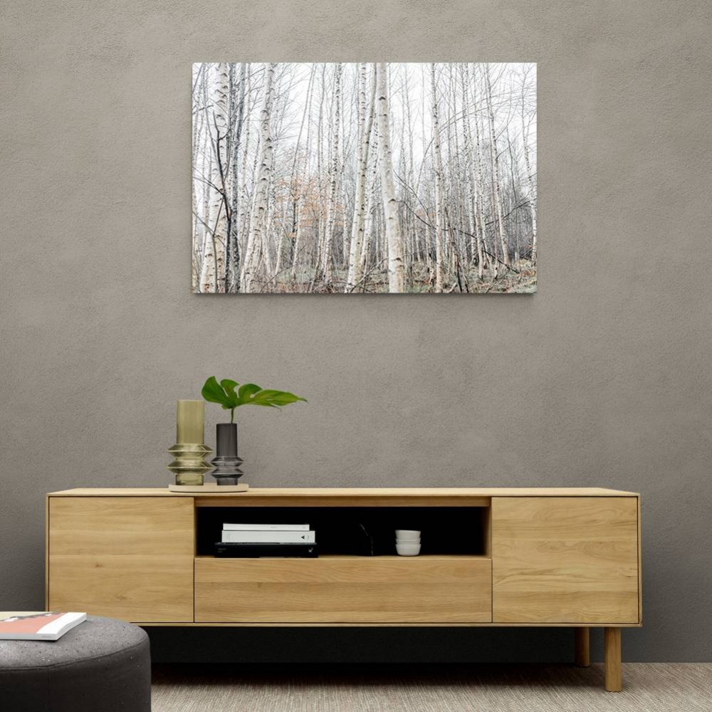 Birch Trees 9 Wall Art