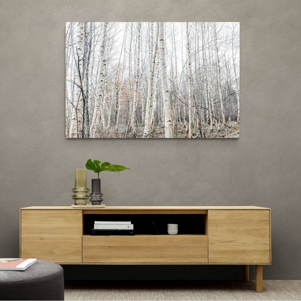 Birch Trees 9 Wall Art