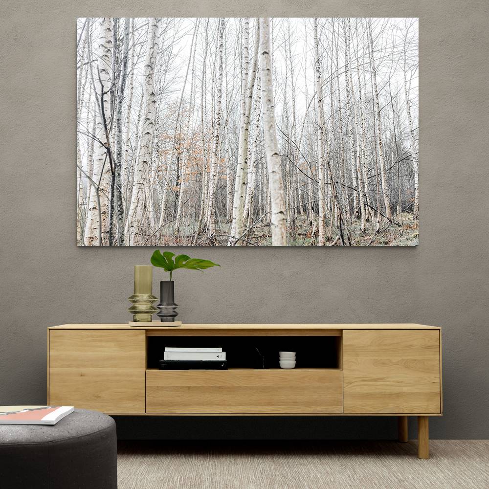 Birch Trees 9 Wall Art