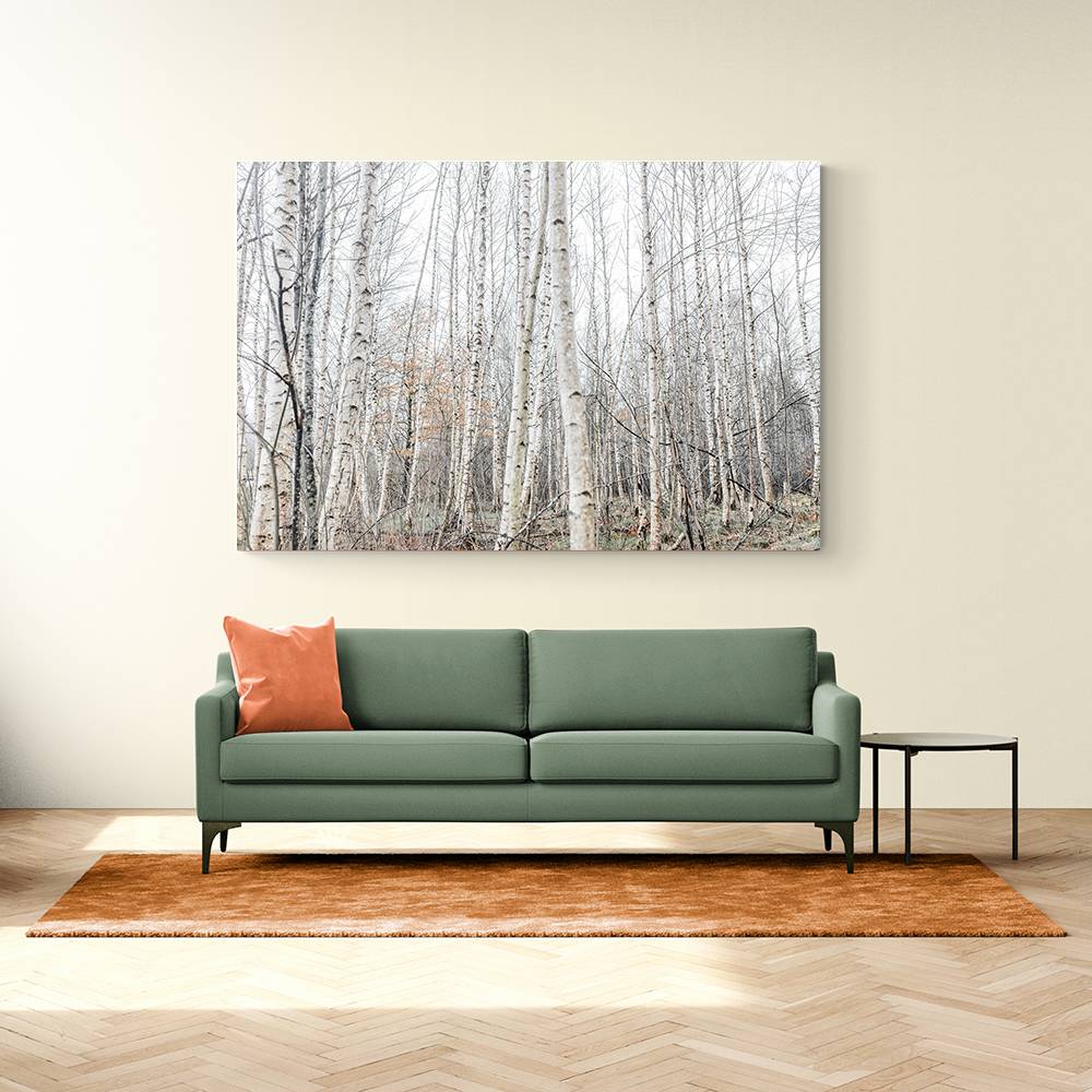 Birch Trees 9 Wall Art