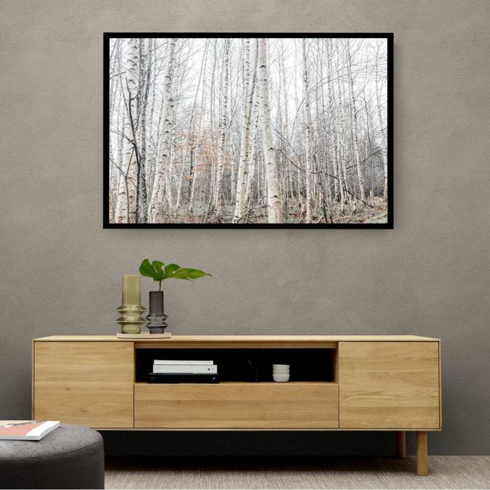 Birch Trees 9 Wall Art