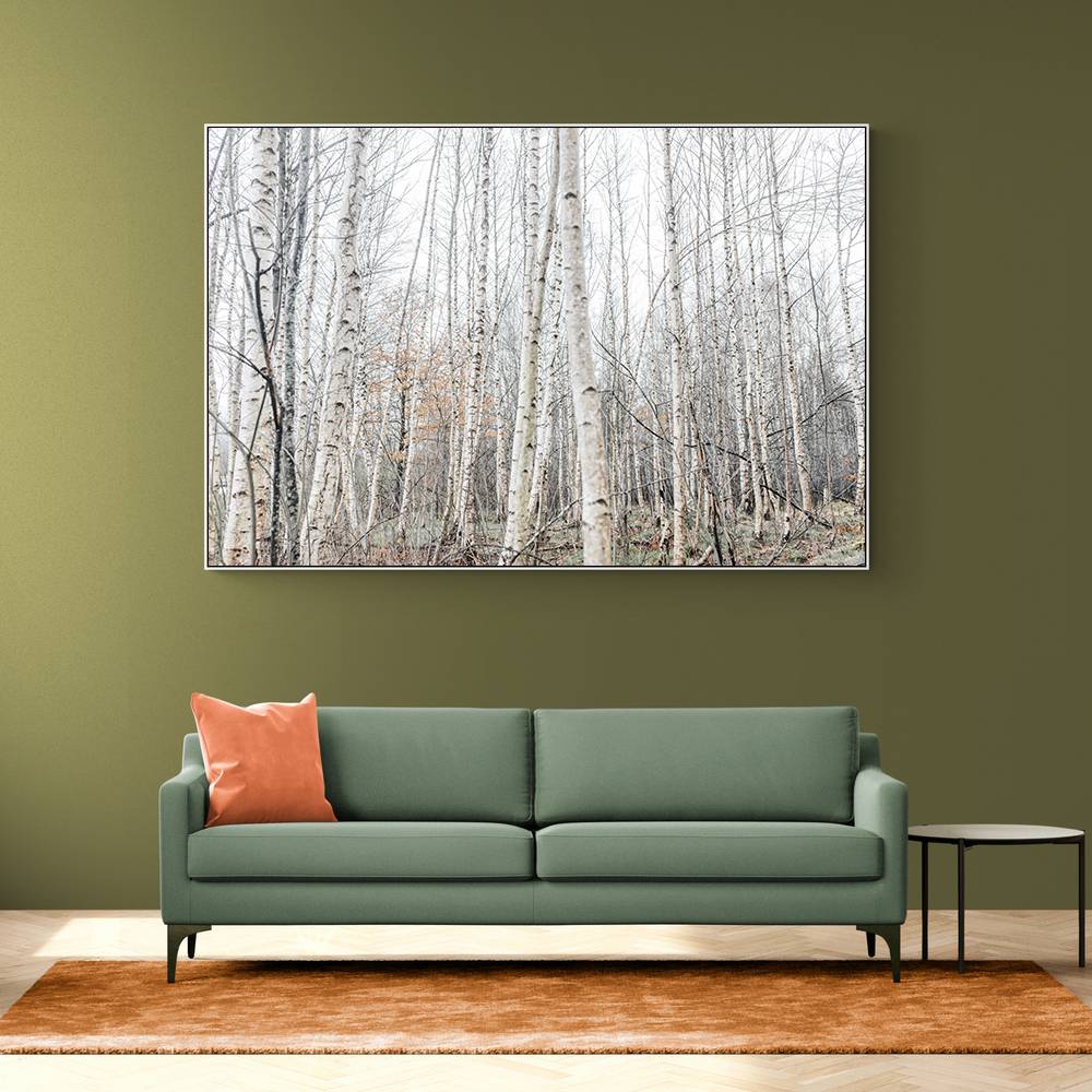 Birch Trees 9 Wall Art