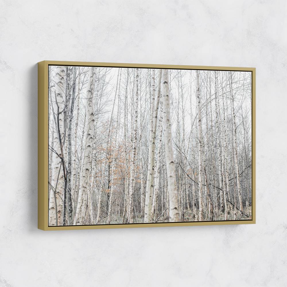 Birch Trees 9 Wall Art