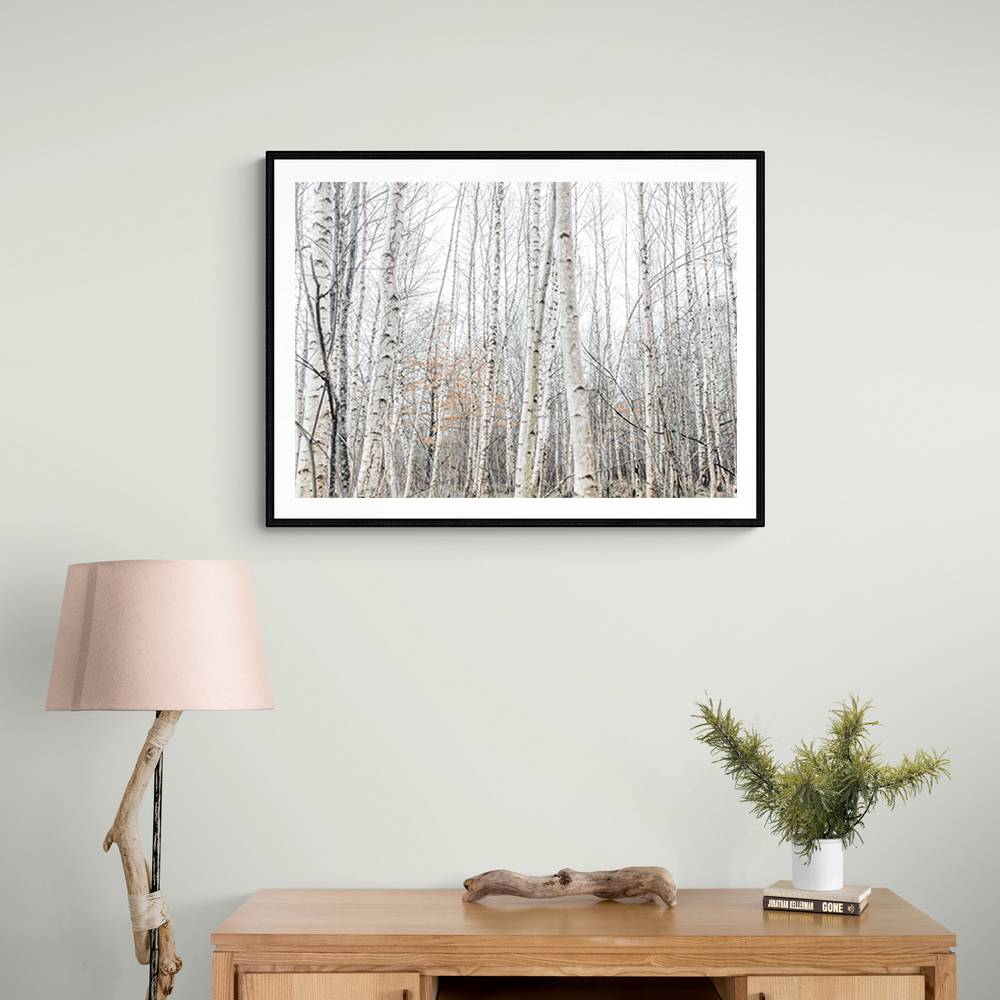 Birch Trees 9 Wall Art