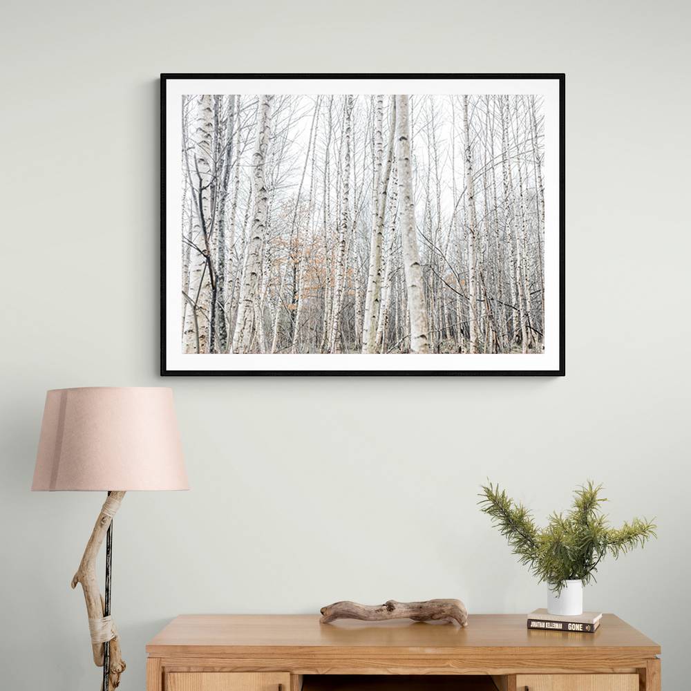 Birch Trees 9 Wall Art