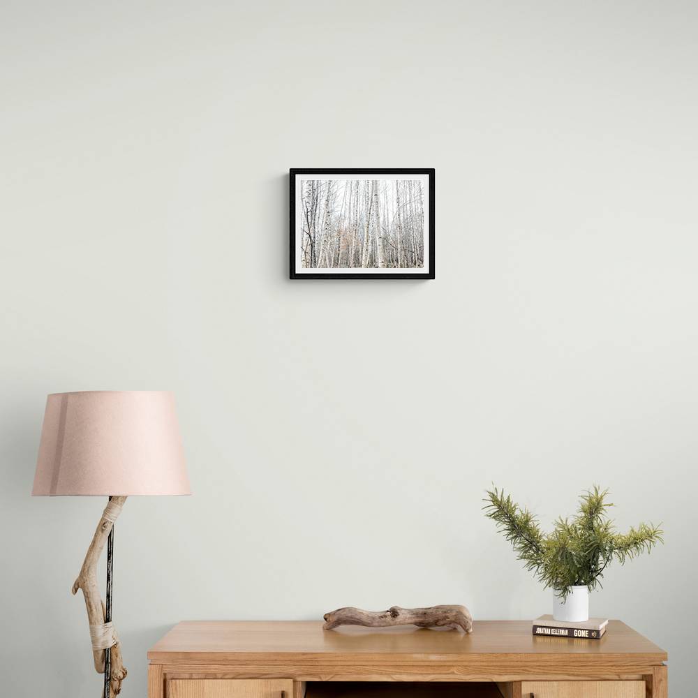 Birch Trees 9 Wall Art