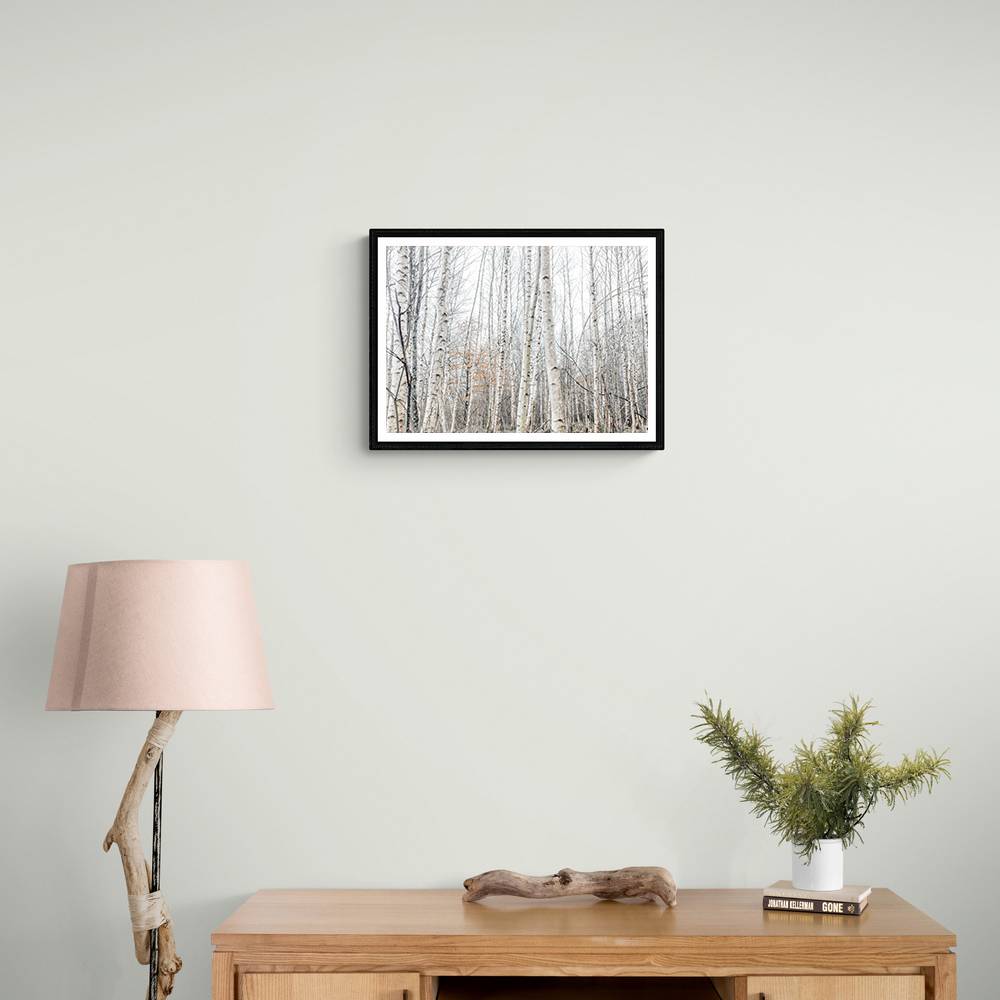 Birch Trees 9 Wall Art