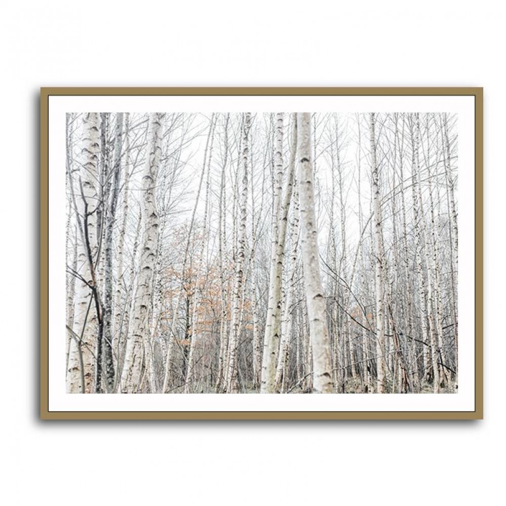 Birch Trees 9 Wall Art