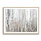 Birch Trees 9 Wall Art