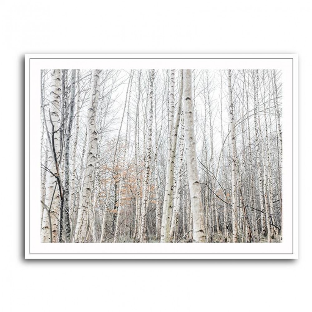 Birch Trees 9 Wall Art