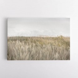 Dunes And Clouds 2 Wall Art