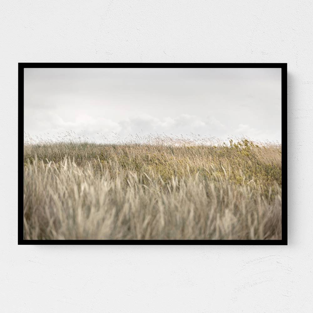 Dunes And Clouds 2 Wall Art