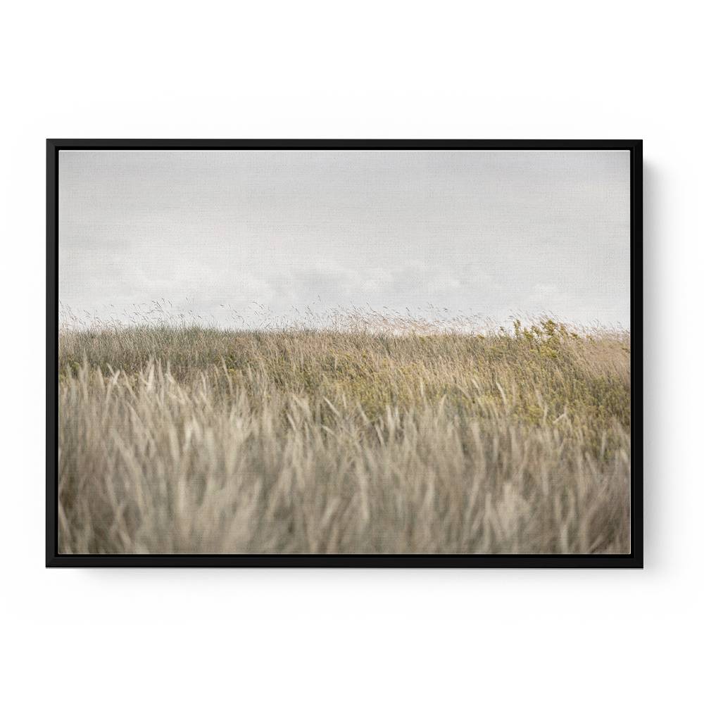 Dunes And Clouds 2 Wall Art