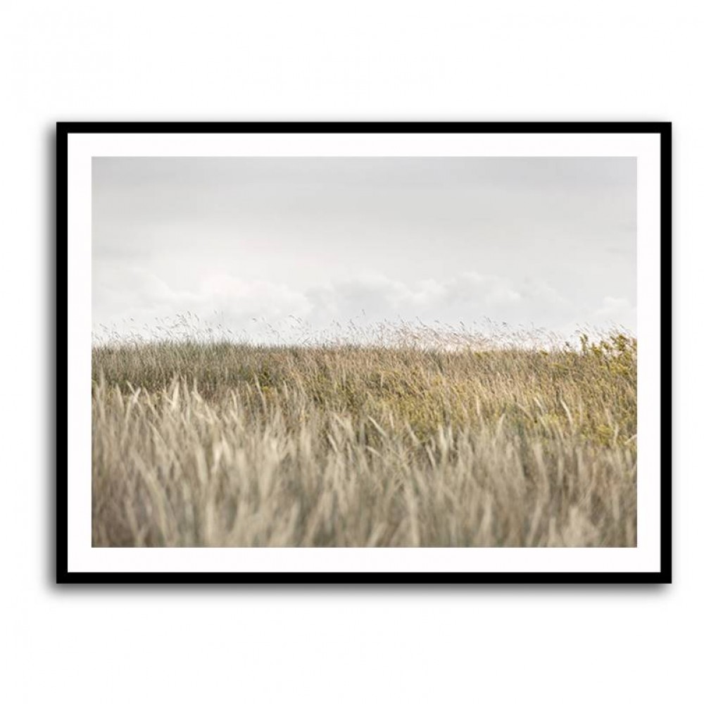 Dunes And Clouds 2 Wall Art