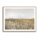 Dunes And Clouds 2 Wall Art