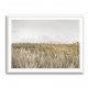 Dunes And Clouds 2 Wall Art