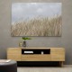 Dunes And Clouds Wall Art