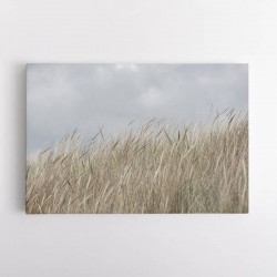 Dunes And Clouds Wall Art