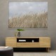 Dunes And Clouds Wall Art