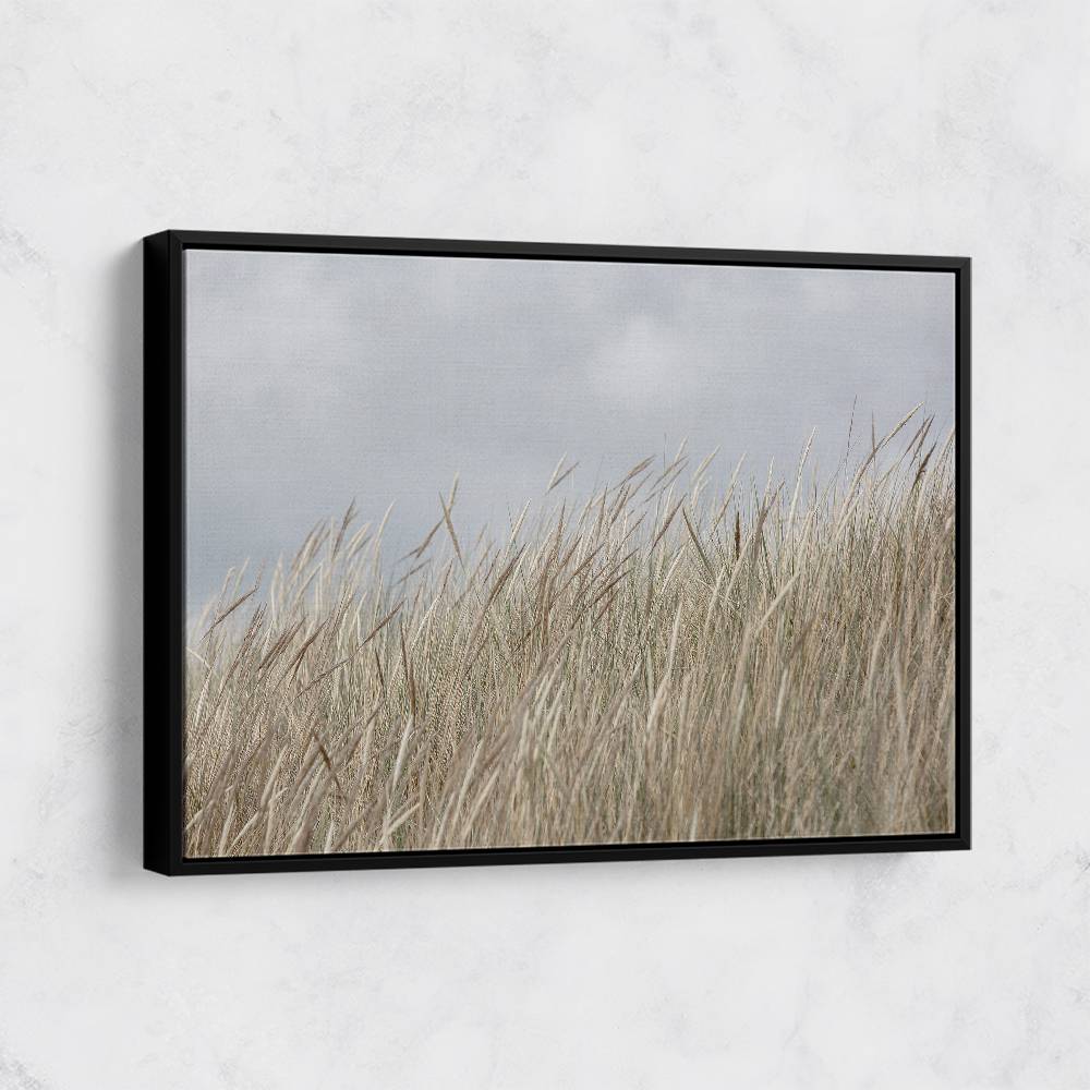 Dunes And Clouds Wall Art