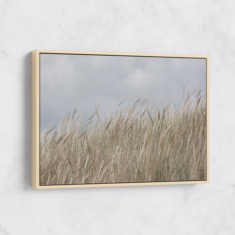 Dunes And Clouds Wall Art