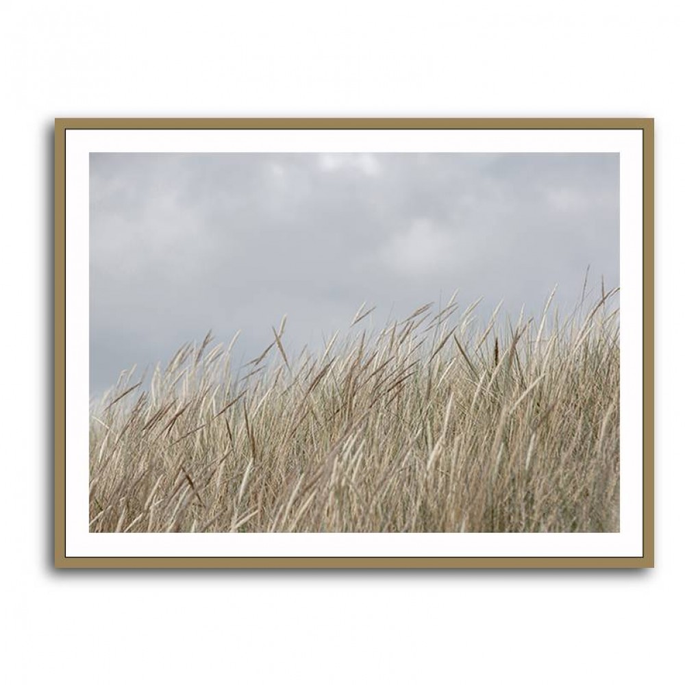 Dunes And Clouds Wall Art