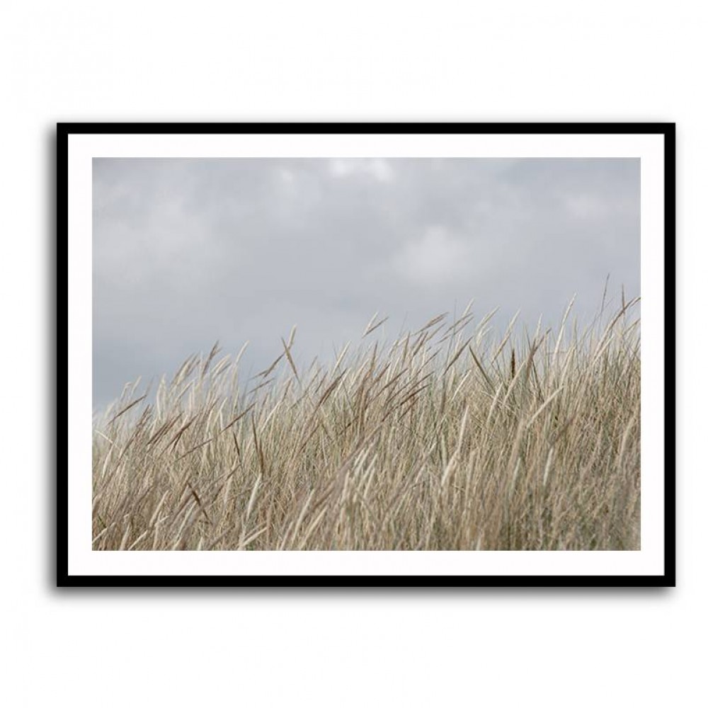 Dunes And Clouds Wall Art