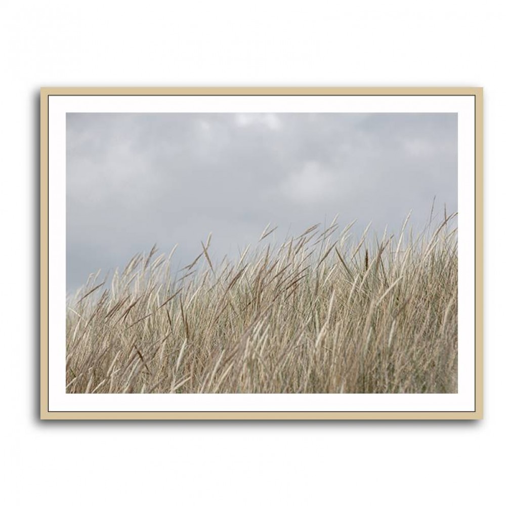 Dunes And Clouds Wall Art