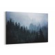 Foggy Woods 5 Wall Art