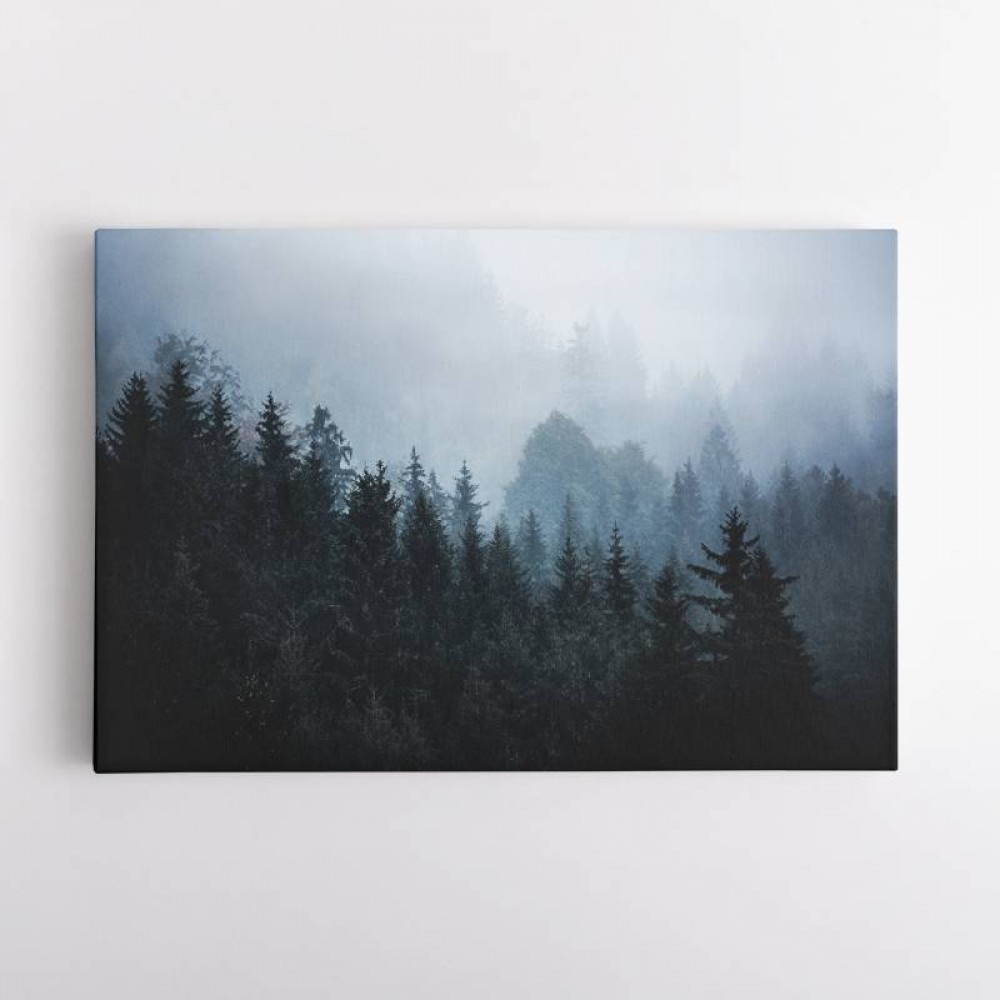 Foggy Woods 5 Wall Art