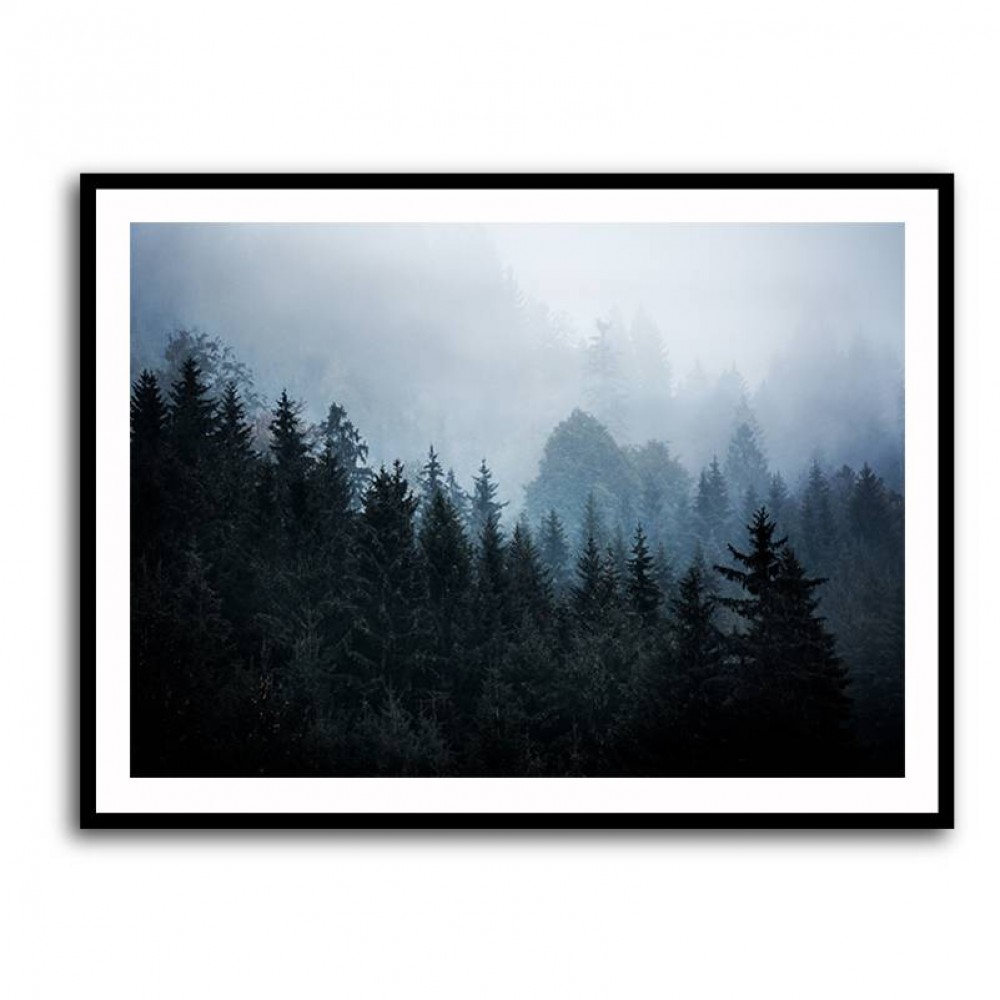 Foggy Woods 5 Wall Art