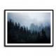 Foggy Woods 5 Wall Art