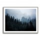 Foggy Woods 5 Wall Art