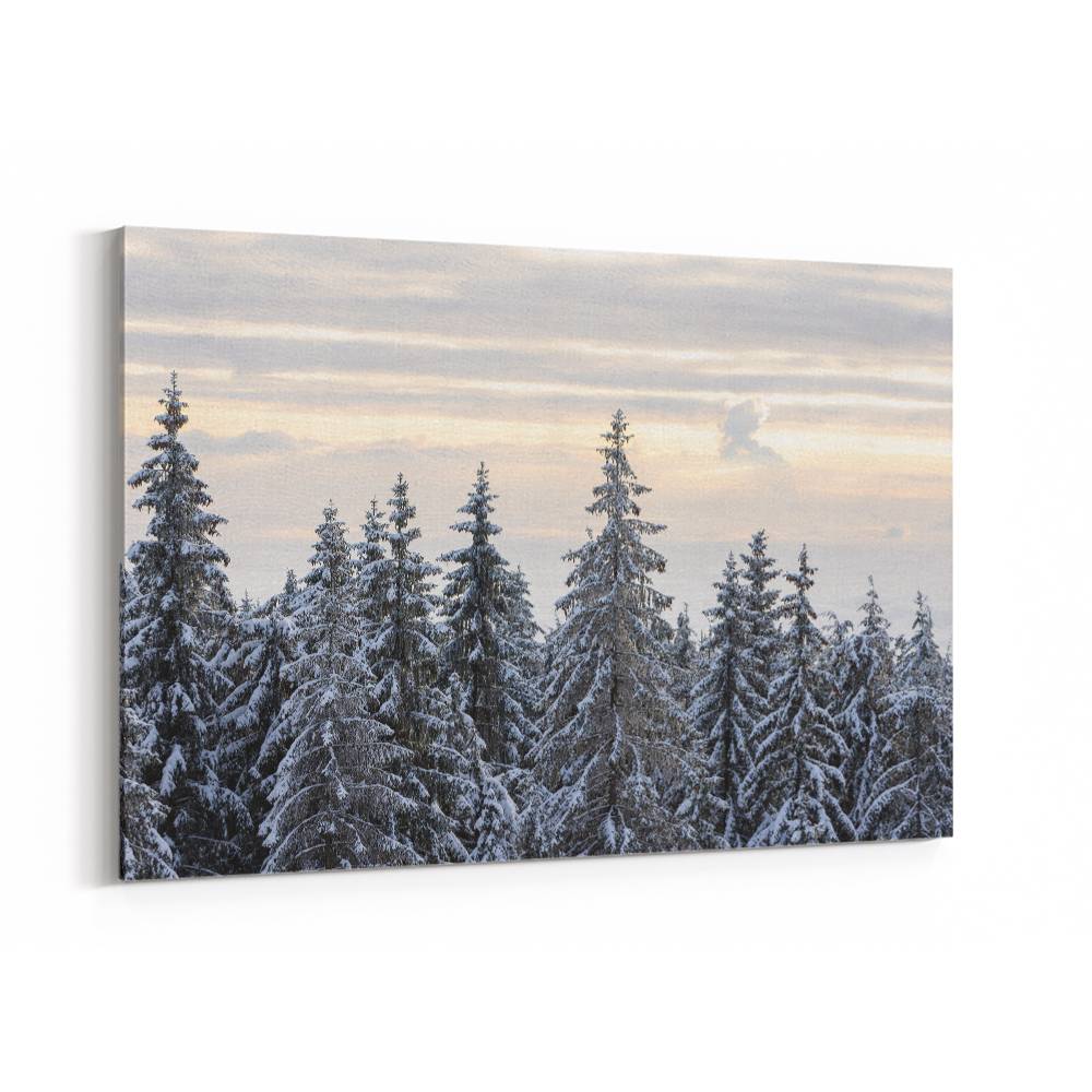 Snow Covered Trees 8 Wall Art