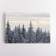 Snow Covered Trees 8 Wall Art