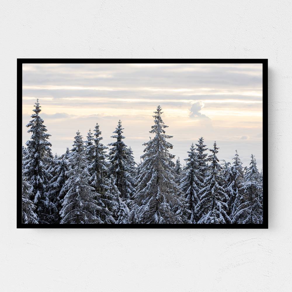 Snow Covered Trees 8 Wall Art