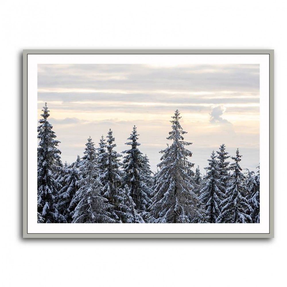 Snow Covered Trees 8 Wall Art