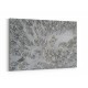 Snow Covered Trees 3 Wall Art