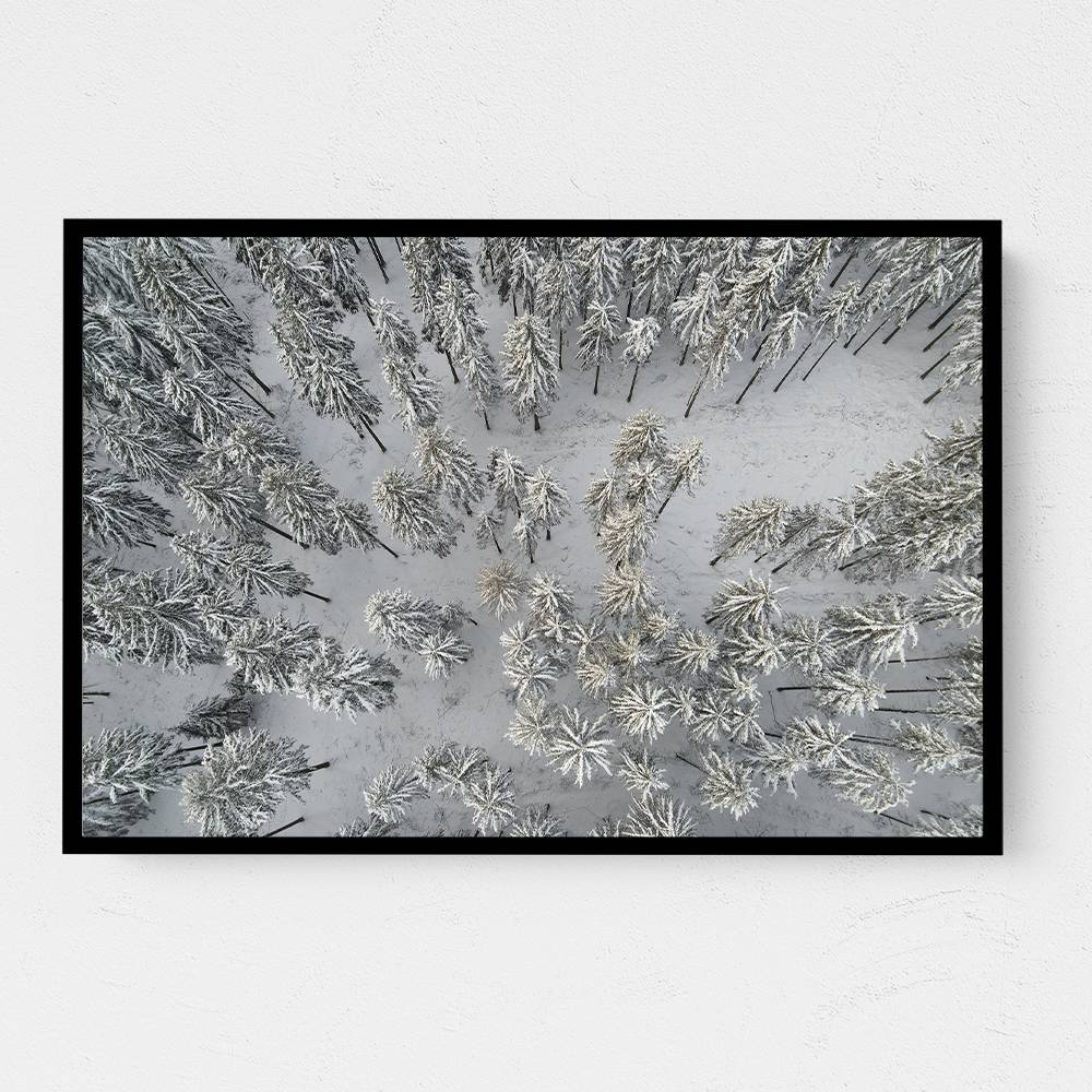 Snow Covered Trees 3 Wall Art