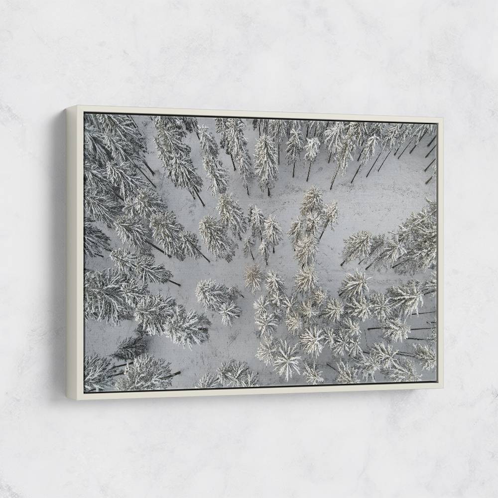 Snow Covered Trees 3 Wall Art